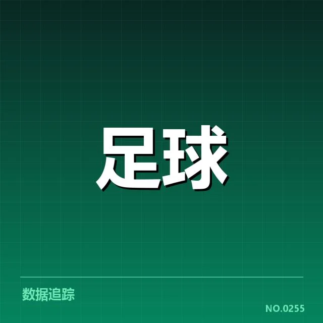 西班牙国王杯球场建设:设施升级与资金投入疑问